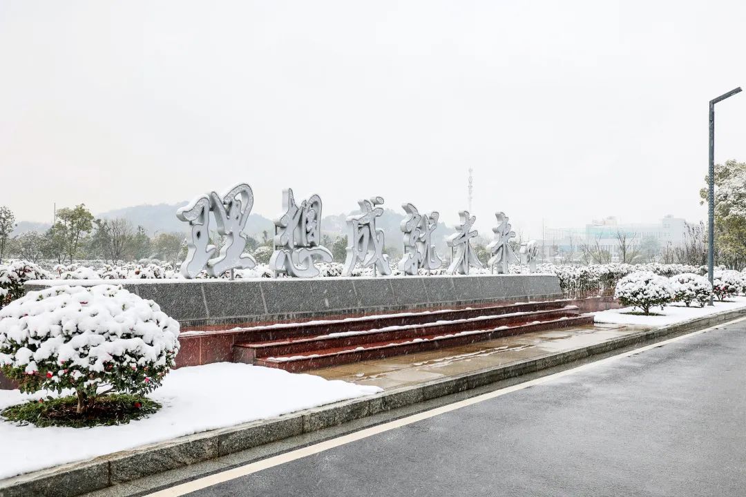 瑞雪兆豐年，邀您共賞雪中山河！