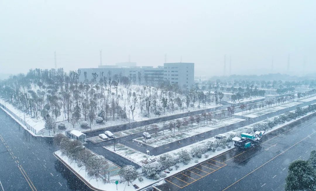 瑞雪兆豐年，邀您共賞雪中山河！